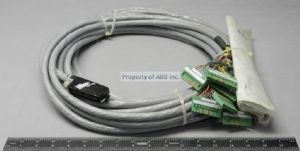 TK616V115 ANALOG CABLE, T